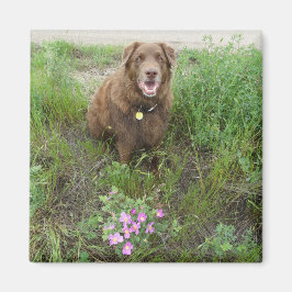 P3 Flatlandersam av Vild Ro Magnet