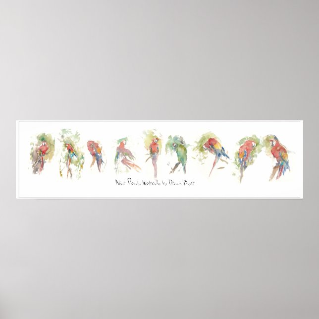 P3, nio Parrots, Dennis Boyces vattenfärg Poster (Framsidan)
