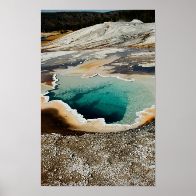 #P4078 Utskrift Poster (Framsidan)