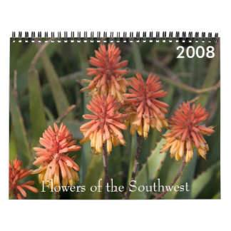 P4079331-LR-1 blommor av southwesten, 2008 Kalender