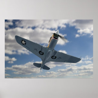 P40-sammansatt Poster