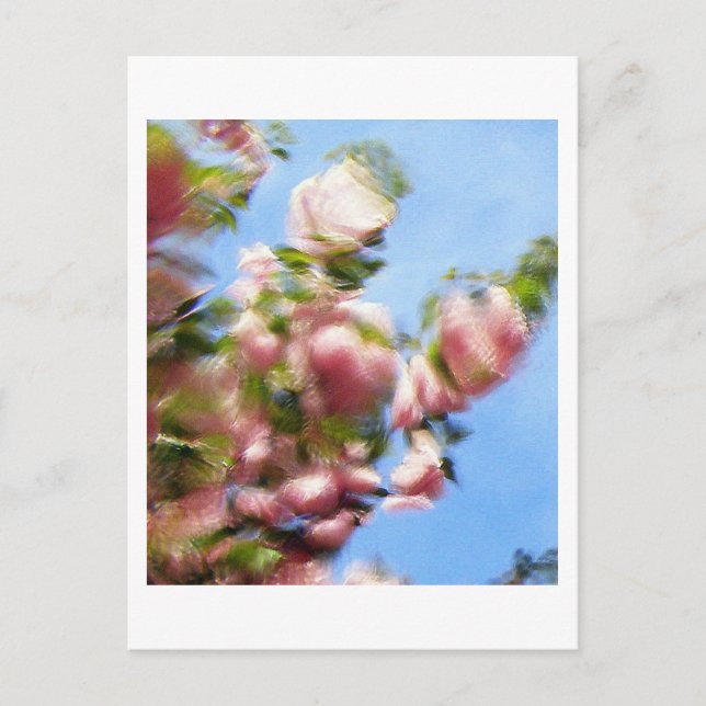 P4240442 VYKORT (Framsida)