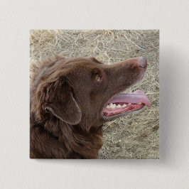 P4 Flatlandersam-profil Knapp