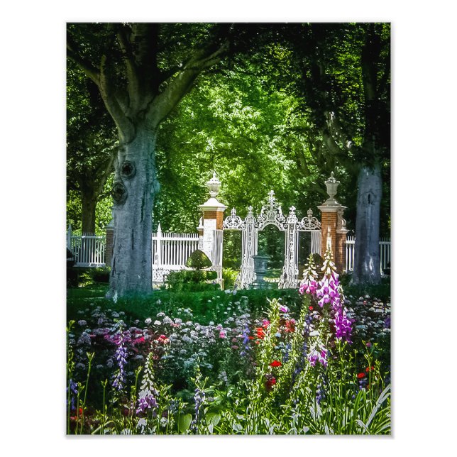 P5270048-Guvernörens Palace Gardens Fototryck (Framsidan)