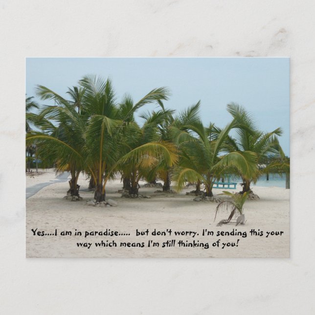 P6240208, ja.... - Jag är i paradiset......  men g Vykort (Framsida)