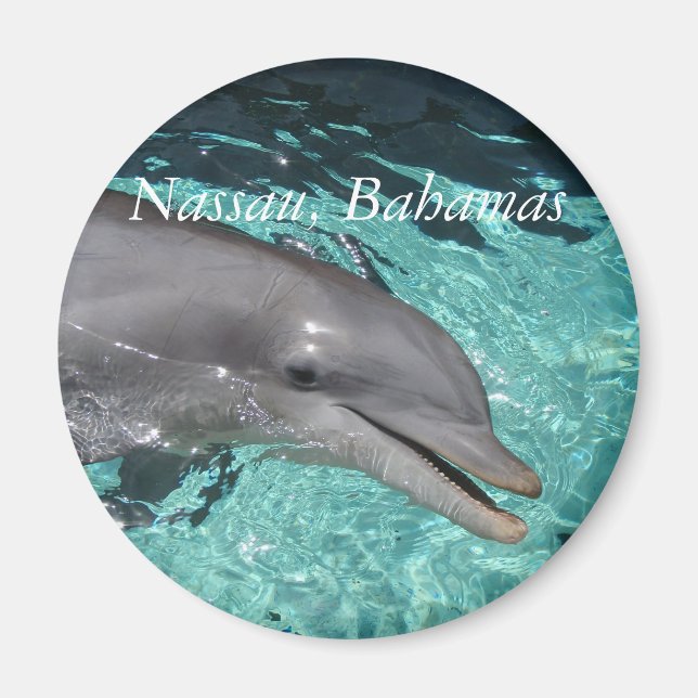 P8010404, Nassau, Bahamas Magnet (Framsidan)