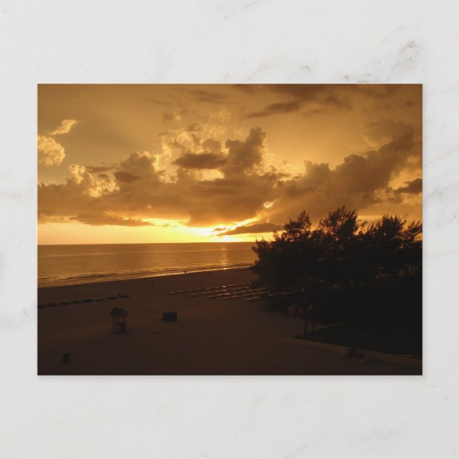 P8190542 VYKORT (Framsida)