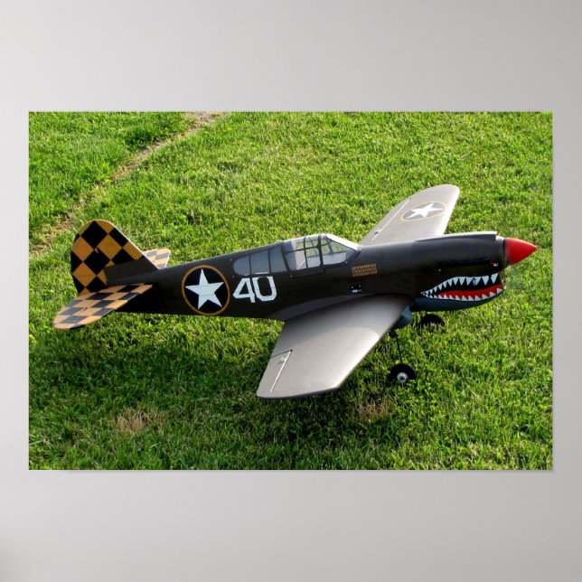 P-40 Warbird Poster (Framsidan)