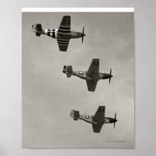 P-51 B och P51D-Mustang Poster