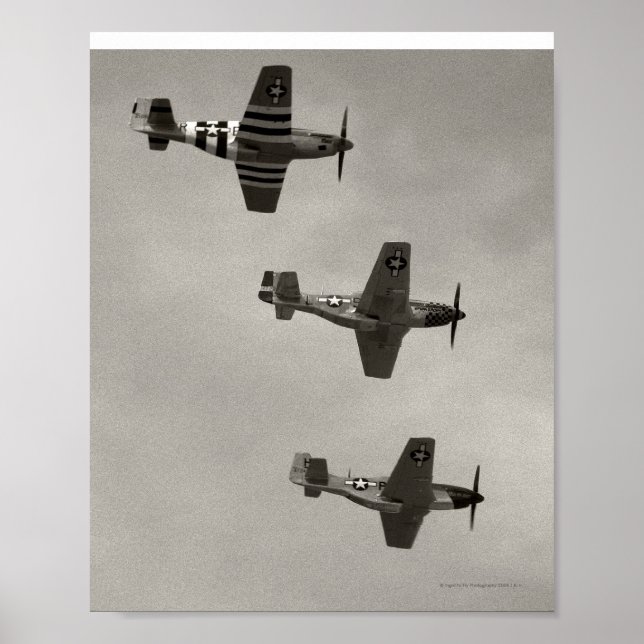 P-51 B och P51D Mustang Poster (Framsidan)