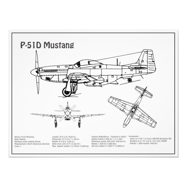 P-51D Mustang - Flygplanets BD Fototryck (Framsidan)