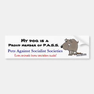 P.A.S.S. BILDEKAL