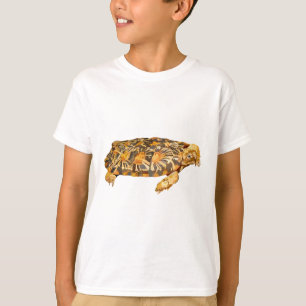 P är för Pancake Tortoise T Shirt