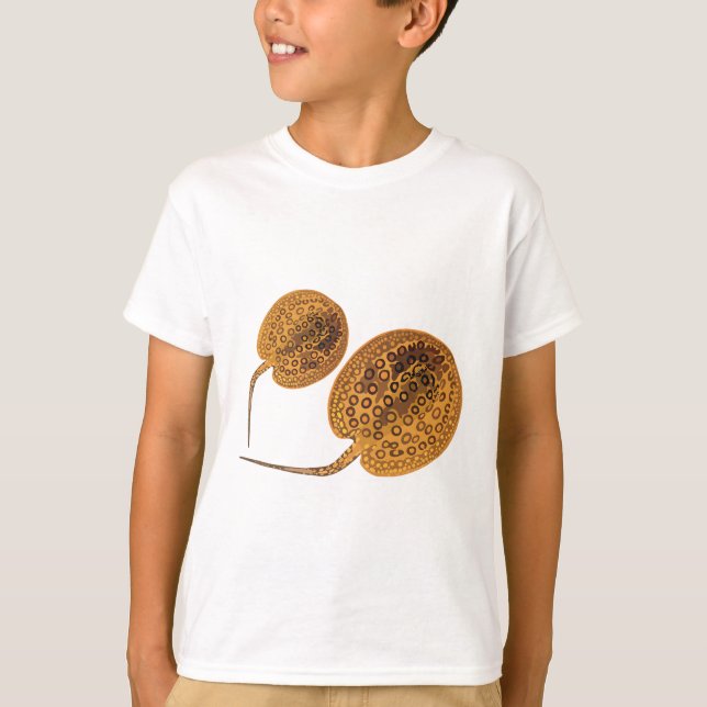 P är för Peacock Öga Sting Ray T Shirt (Framsida)