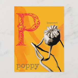 P är för Poppy Vykort