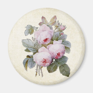 P.J. Redoute Bourbon bukett med rosor Magnet