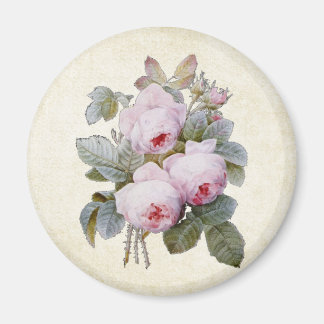 P.J. Redoute Bourbon Bukett med rosor Magnet