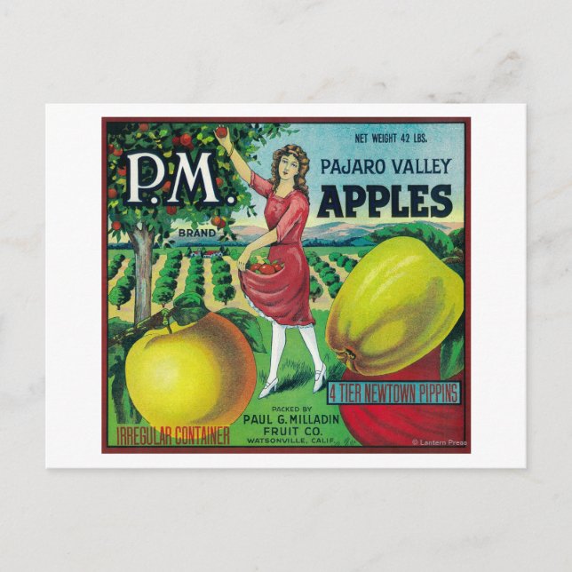 P.M. Apple Låda LabelWatsonville, CA Vykort (Framsida)