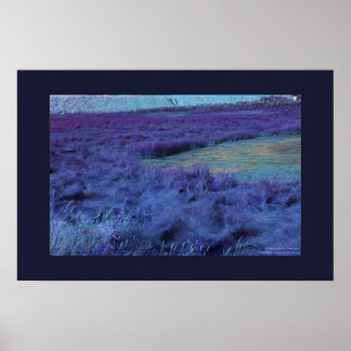 P Under i Indigo Poster