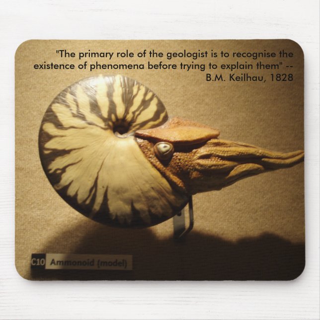 PA060013 MUSMATTA (Framsidan)