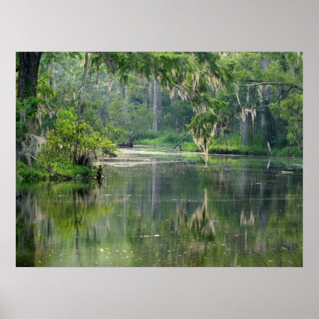 På Bayou Poster (Framsidan)