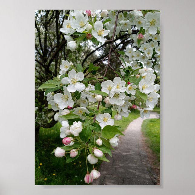 På blommande grenar poster (Framsidan)