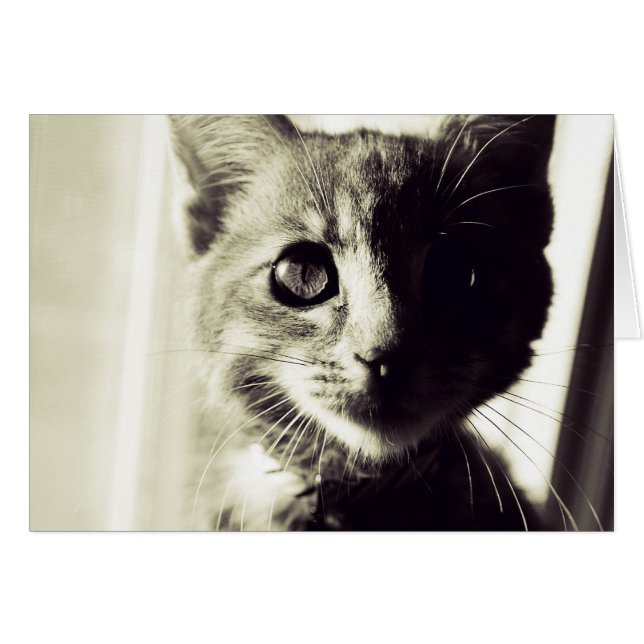 På Broad Black and White Daylight Hälsningskort (Framsidan Horizontal)