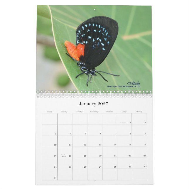 På den spindelväva vingarfjärilskalendern 2011 kalender (Jan 2027)