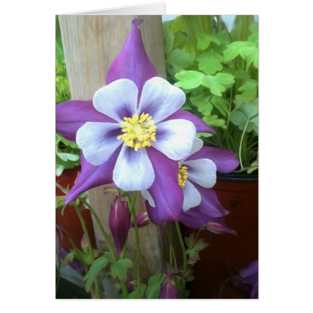 På det tomma kortet för posta hälsningskort (Framsidan)