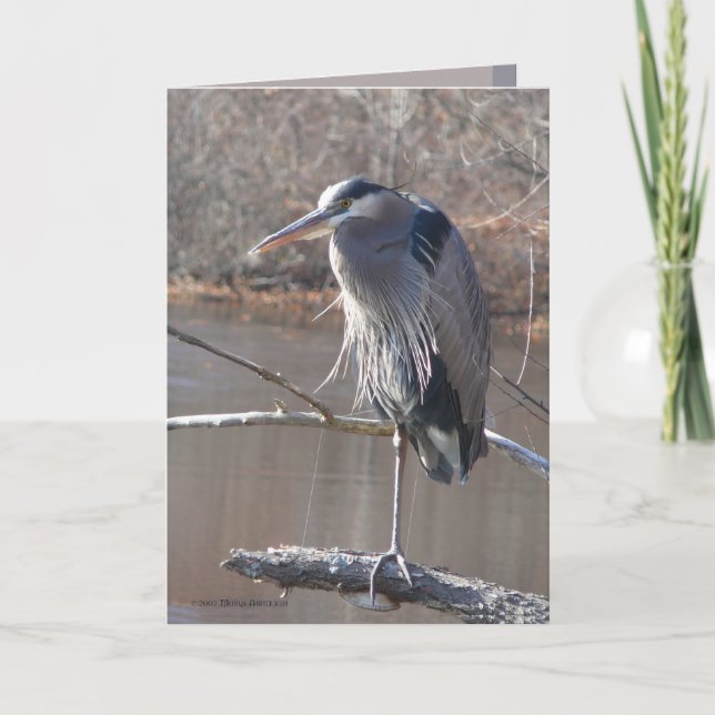 På en lägga benen på ryggen kort (Framsida)