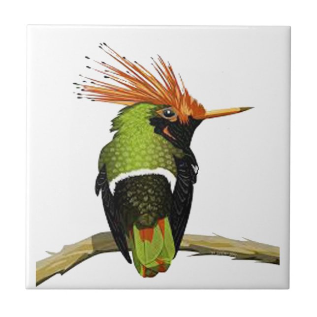 PÅ EN LIMB KAKELPLATTA (Framsidan)