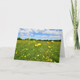På engelsk äng för Buttercups Kort