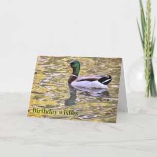 På ett gyllene pond Birthday Önskemål Card Kort