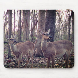 På gården musmatta