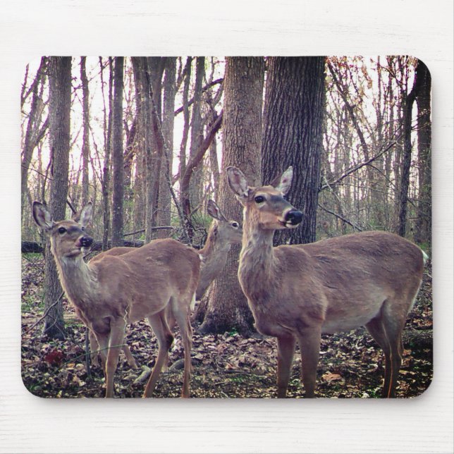 På gården musmatta (Framsidan)