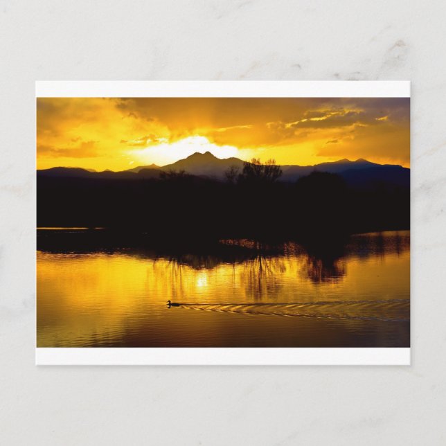 På Golden Ponds Vykort (Framsida)