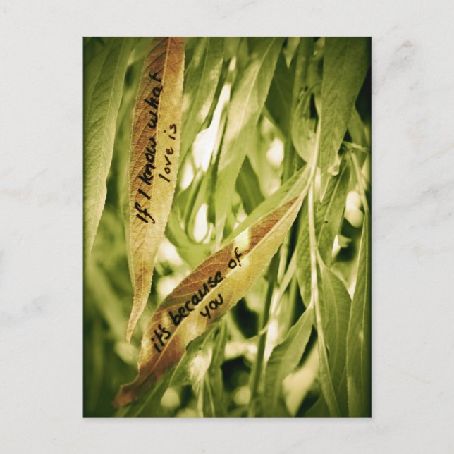 På grund av ditt vykort (kärlek) (Framsida)