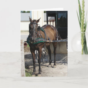 På hitchingen posta kort