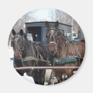 På hitchingen posta magnet