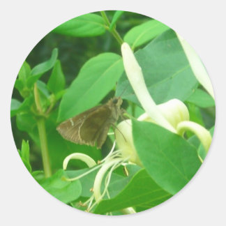 På Honeysuckle Klistermärken