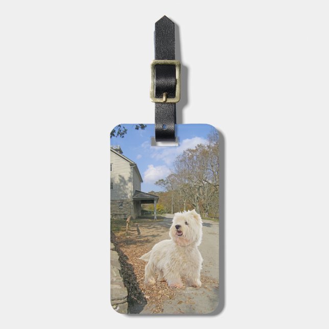 På hösten bagagebricka (Vertikal Framsida)