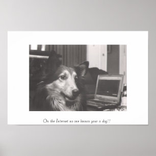 På internet ingen vet ditt en hund!! poster