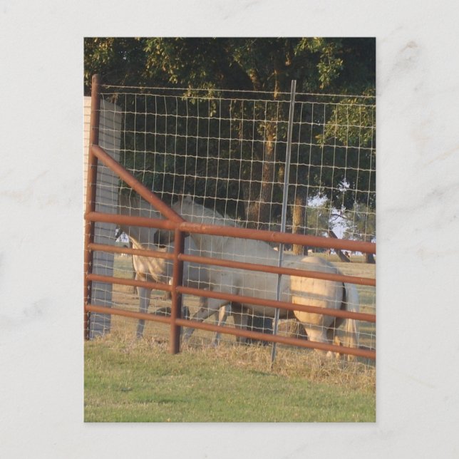 På intervallets PostCard Vykort (Framsida)