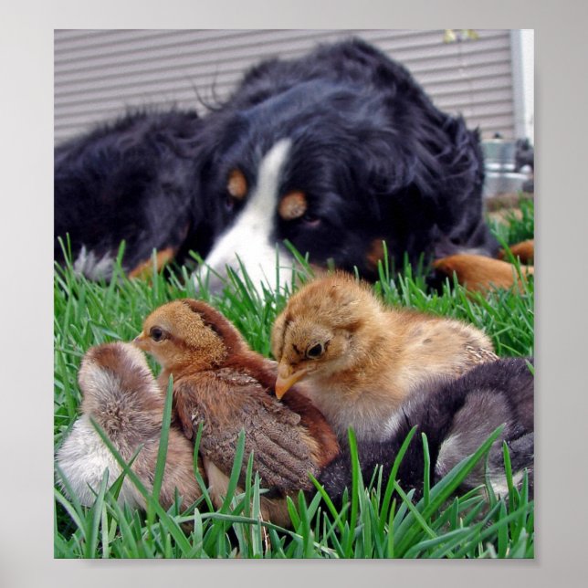 På jobbet poster (Framsidan)