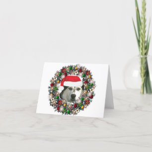 På jul - alaskabo Malamute Helgkort