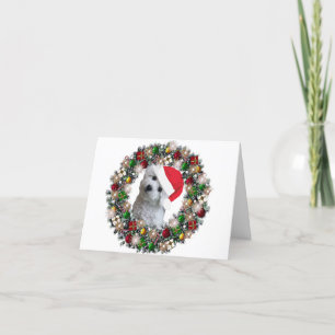 På jul - Bichon Frise Helgkort