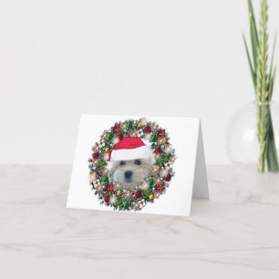 På jul - Havanese Helgkort