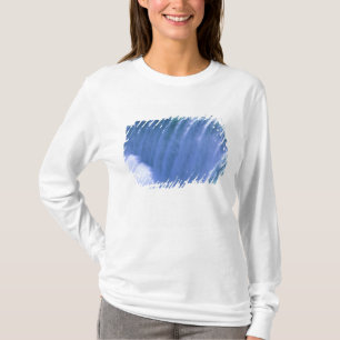 På kanten av kraftfulla Niagarafallen, New York T Shirt