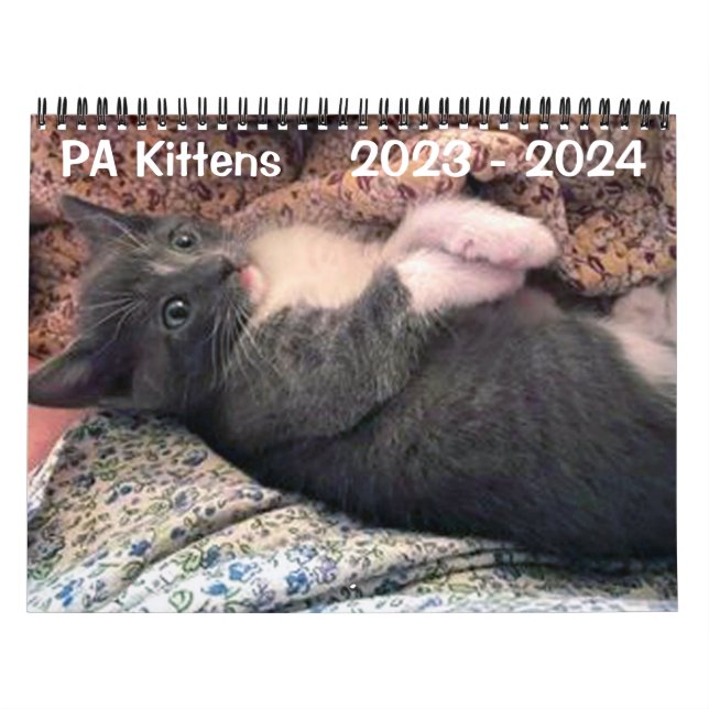 PA Kittens 2-årskalender Kalender (Omslag)