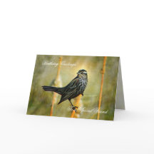 På kortet Limelight Birthday Greeting Card